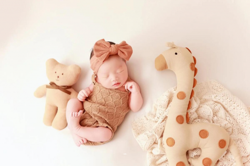 湛江宝宝虾的做法 湛江宝宝虾的做法